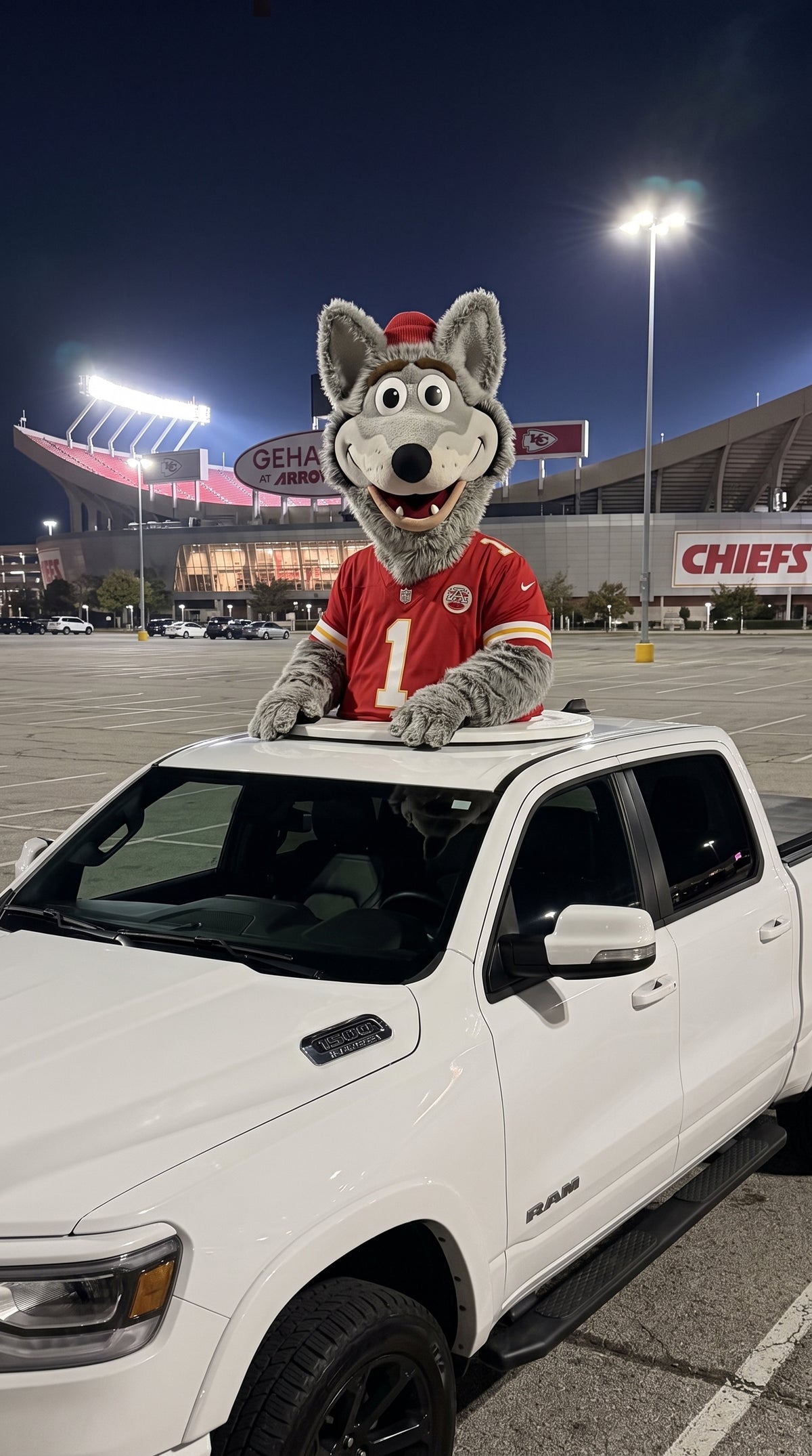 NFL Truck Toppers
