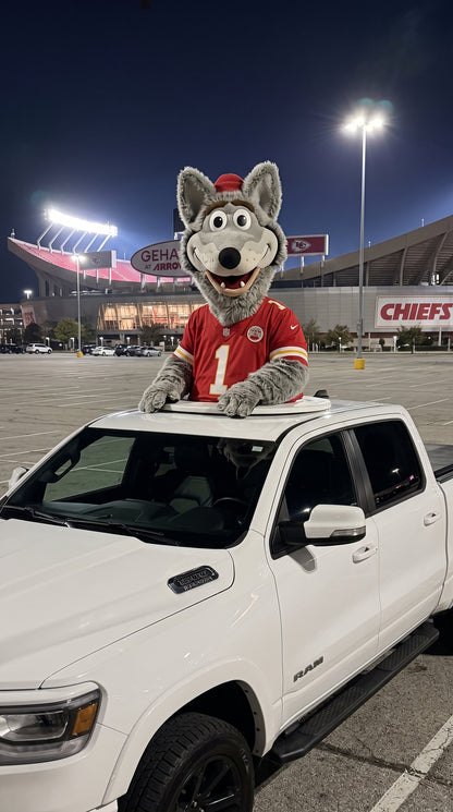 NFL Truck Toppers
