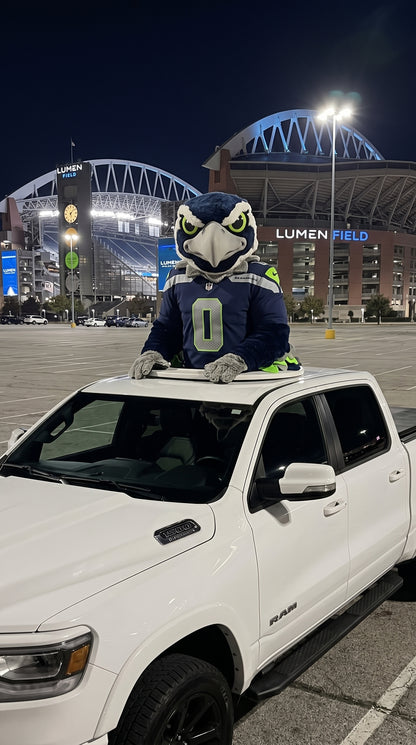 NFL Truck Toppers